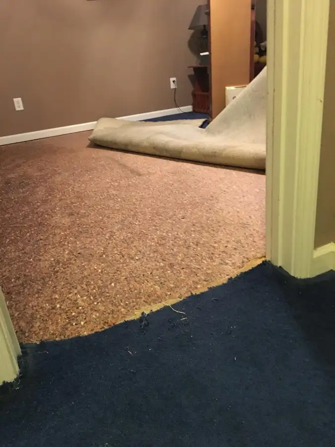 Carpet pad removal revealing water damage during Drying & Dehumidification in Rio Grande City