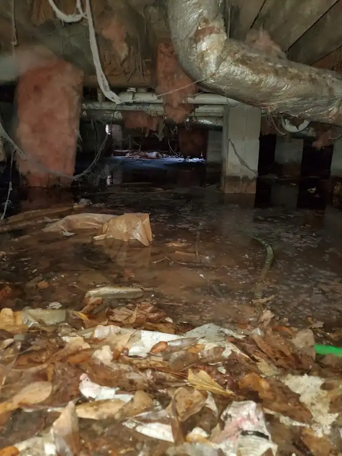 Crawl space flood assessment for Commercial Water Damage Restoration in Rio Grande City