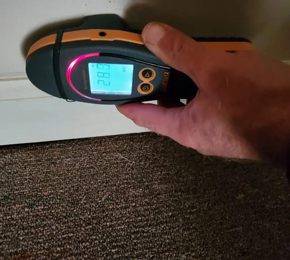Moisture detection at baseboard during Burst Pipe Cleanup in Rio Grande City