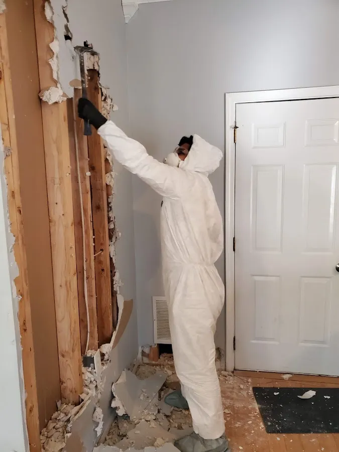 Water Damage Restoration services in Rio Grande City, TX